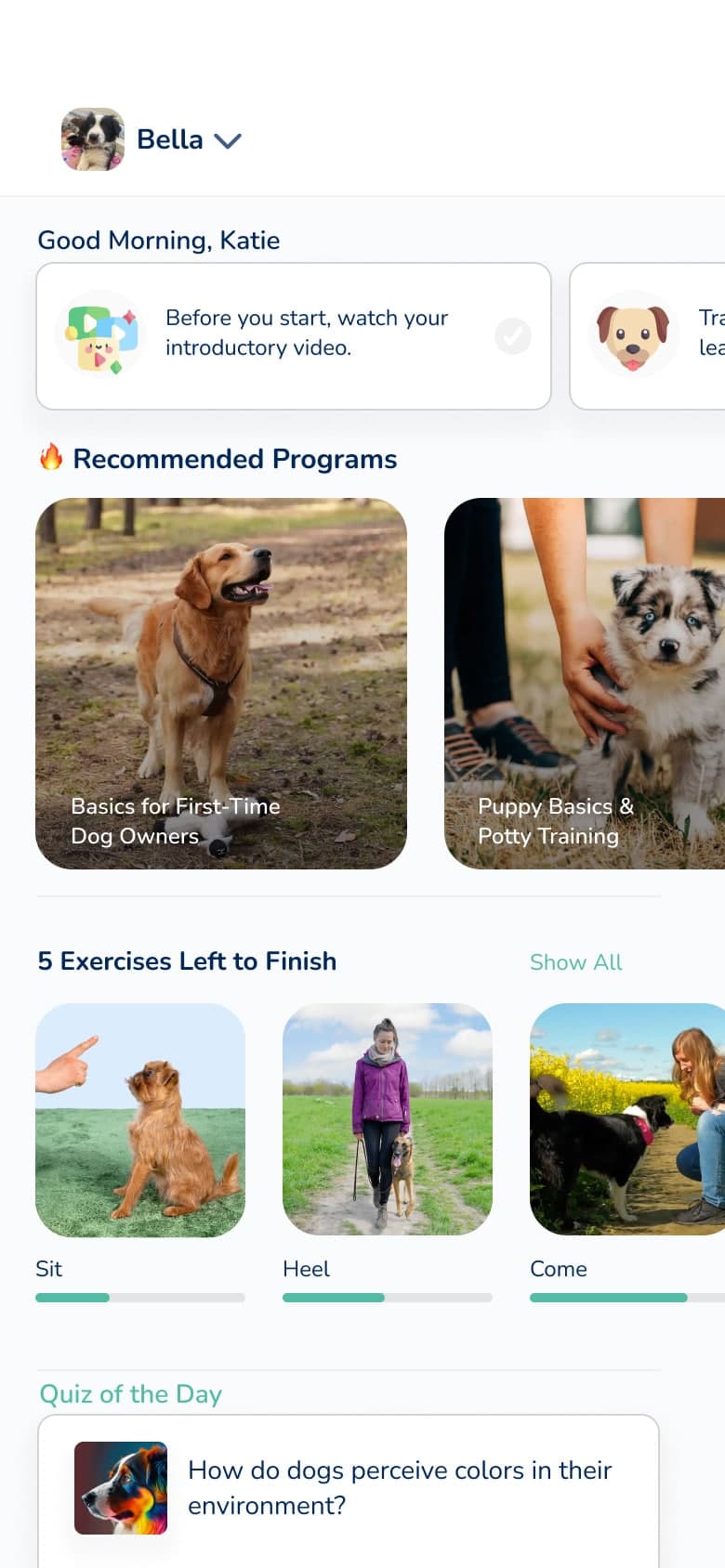 Hundeo Trainingsplan