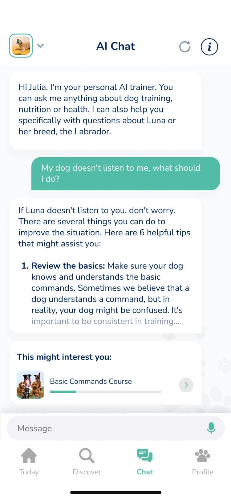 Hundeo Hundetrainer Chat