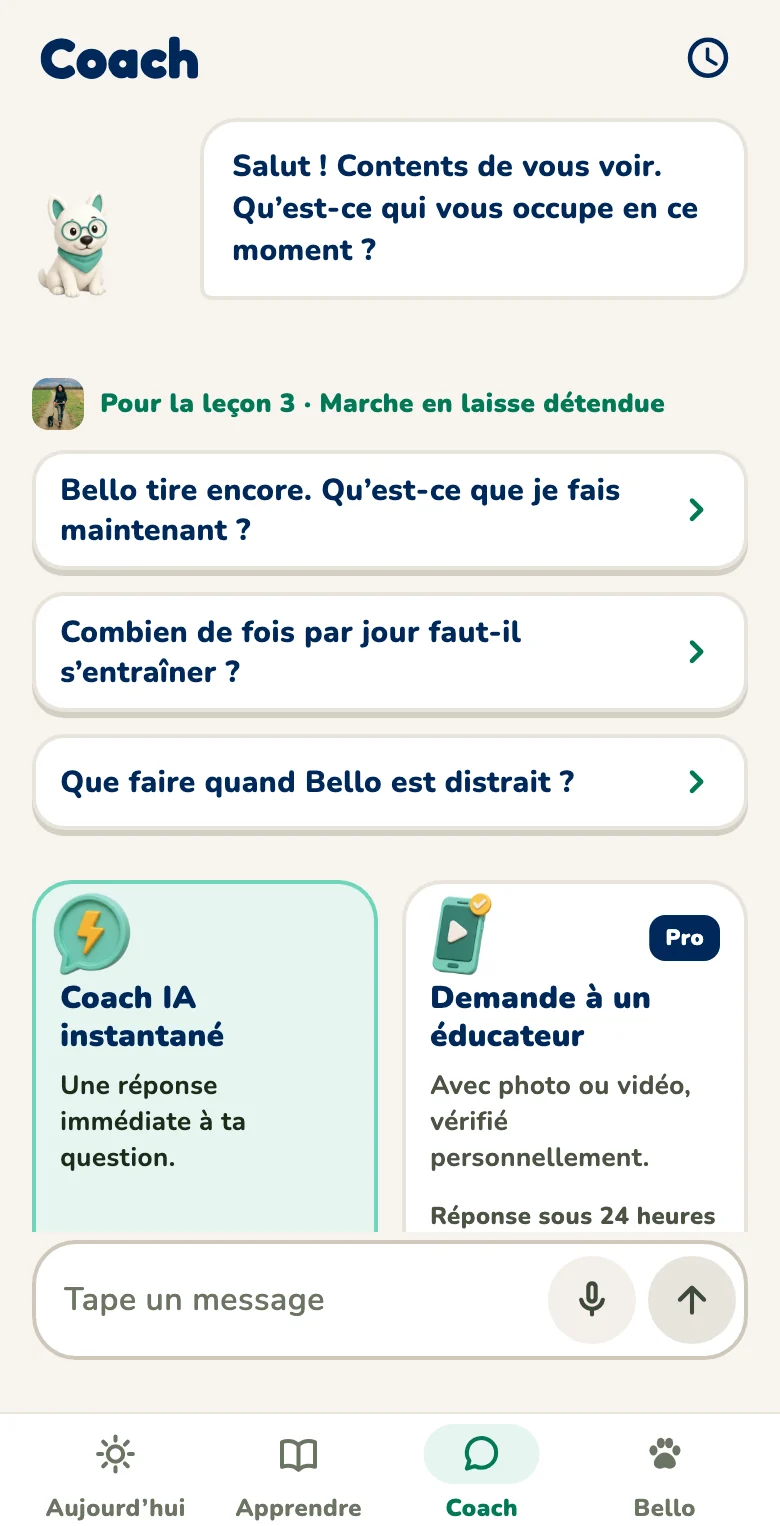 Application Hundeo : coach IA