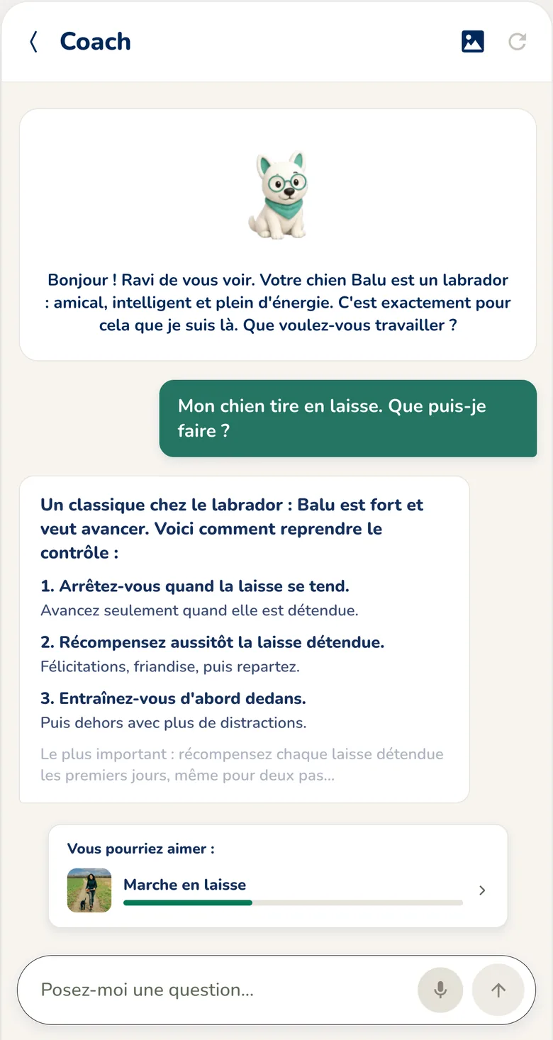 Application Hundeo : chat éducateur canin avec réponses immédiates