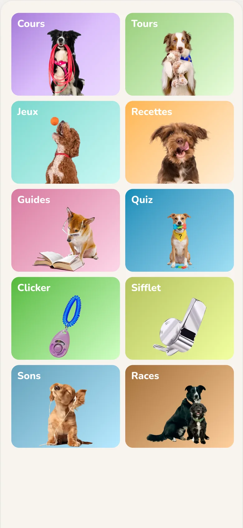 Application Hundeo : espace Découvrir avec cours, tours, jeux et guides