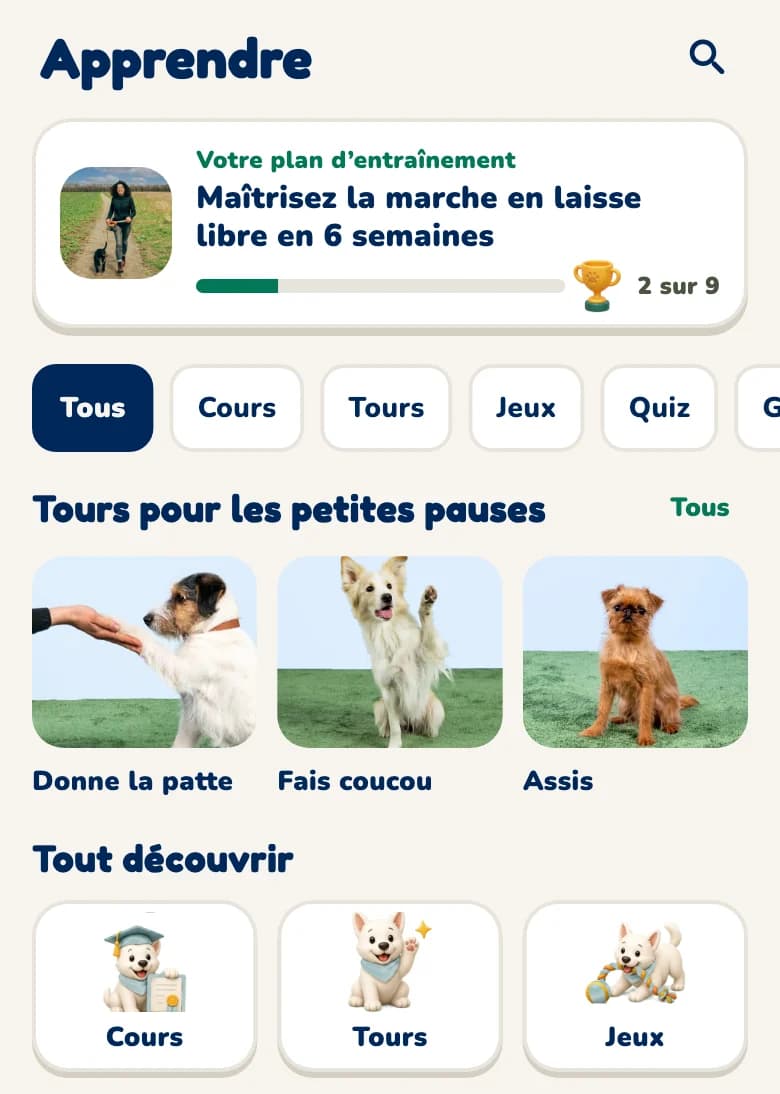 Espace Apprendre de l'application Hundeo avec le plan d'entraînement, des tours et des cours