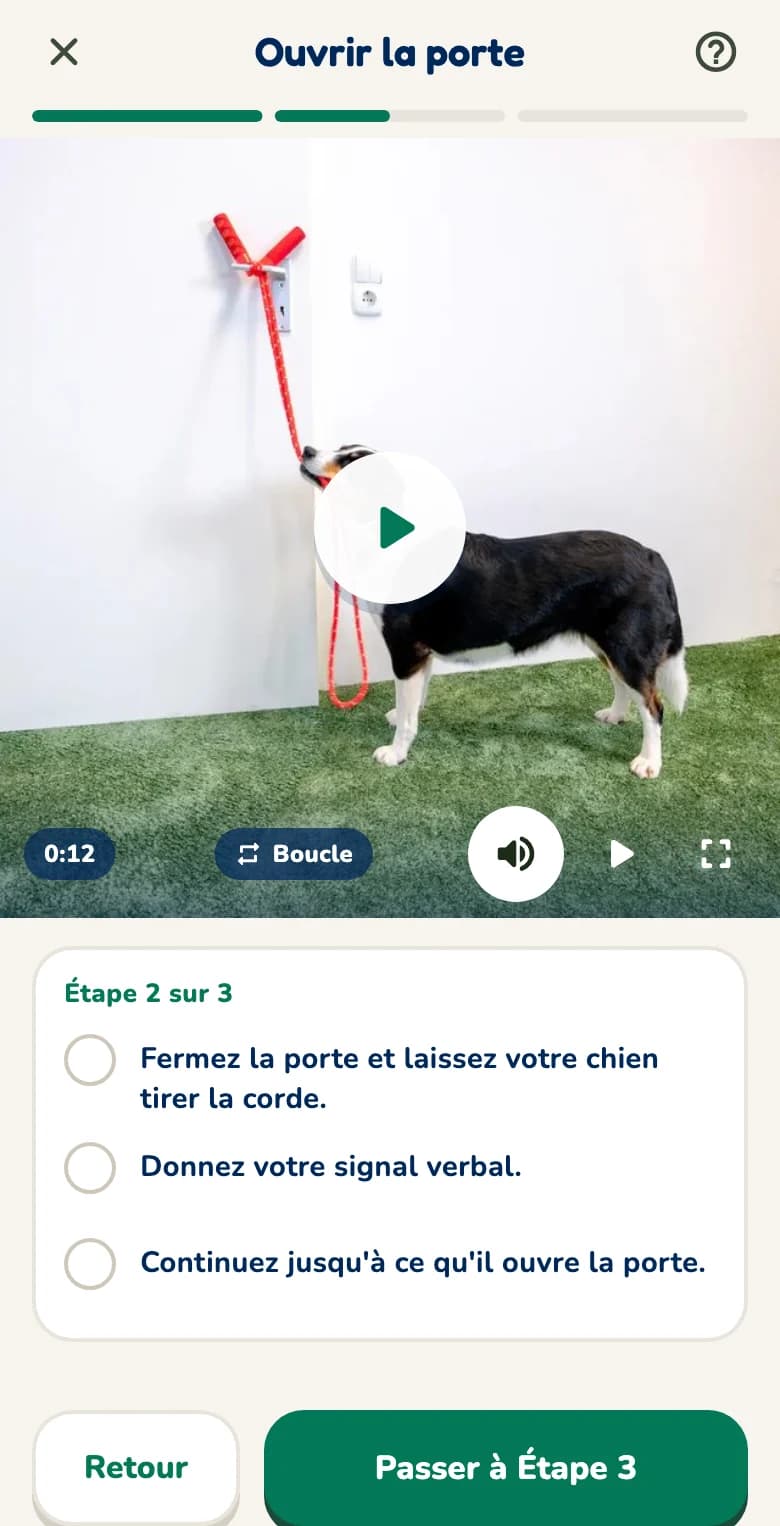 Leçon dans l'application Hundeo : elle commence par la vidéo, avec les étapes à cocher en dessous