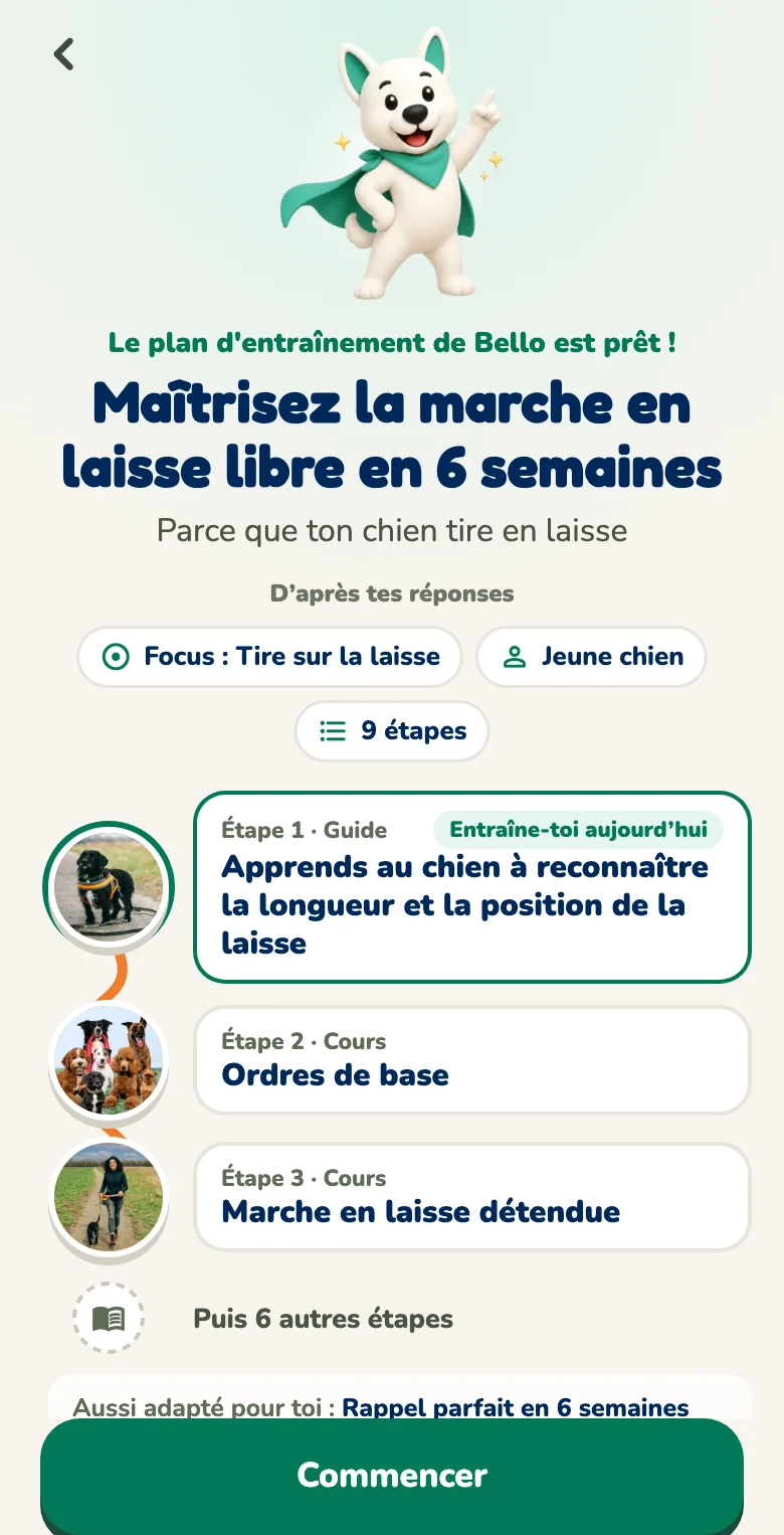 Application Hundeo : plan d'entraînement