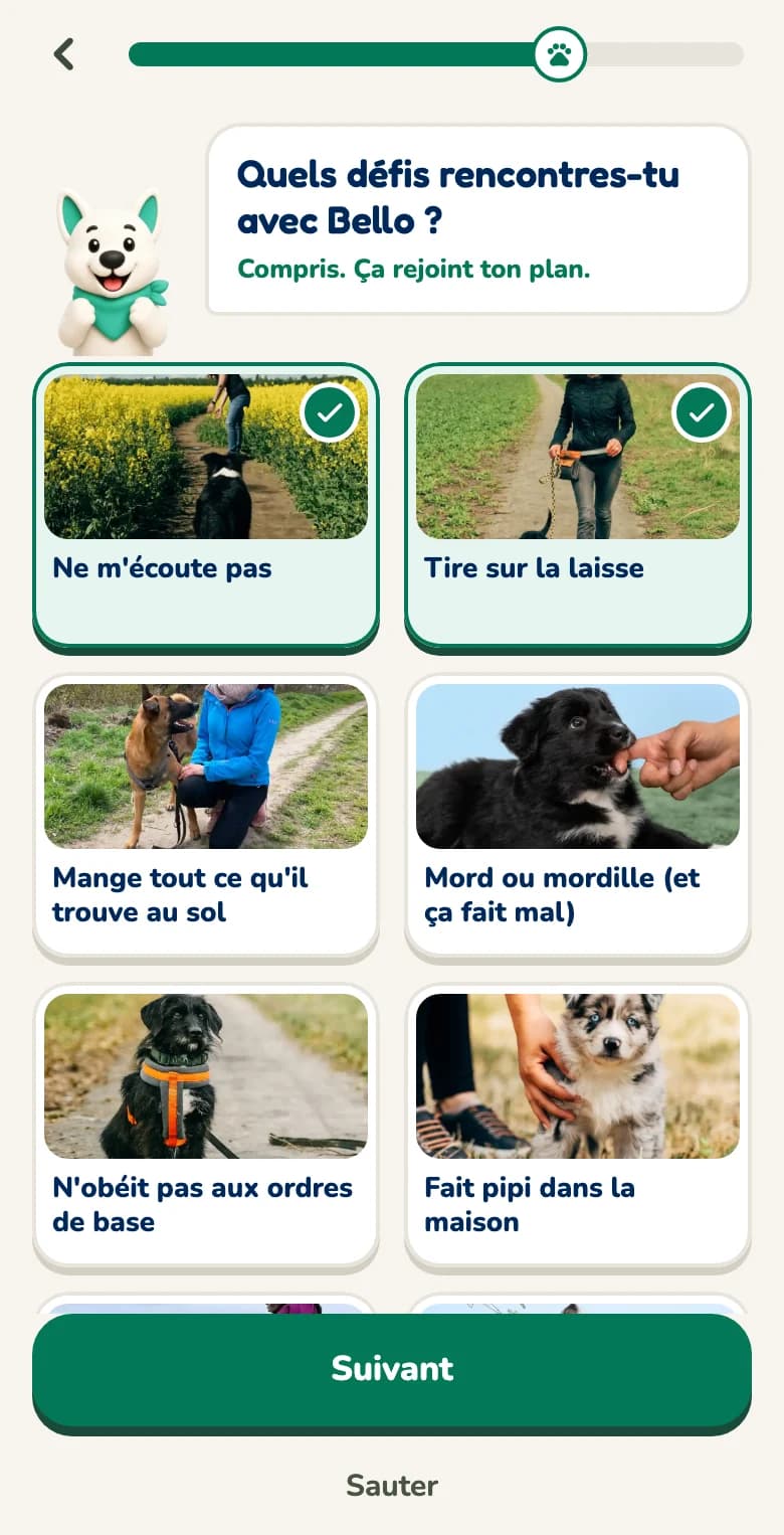 Question dans l'application Hundeo avec des réponses à toucher