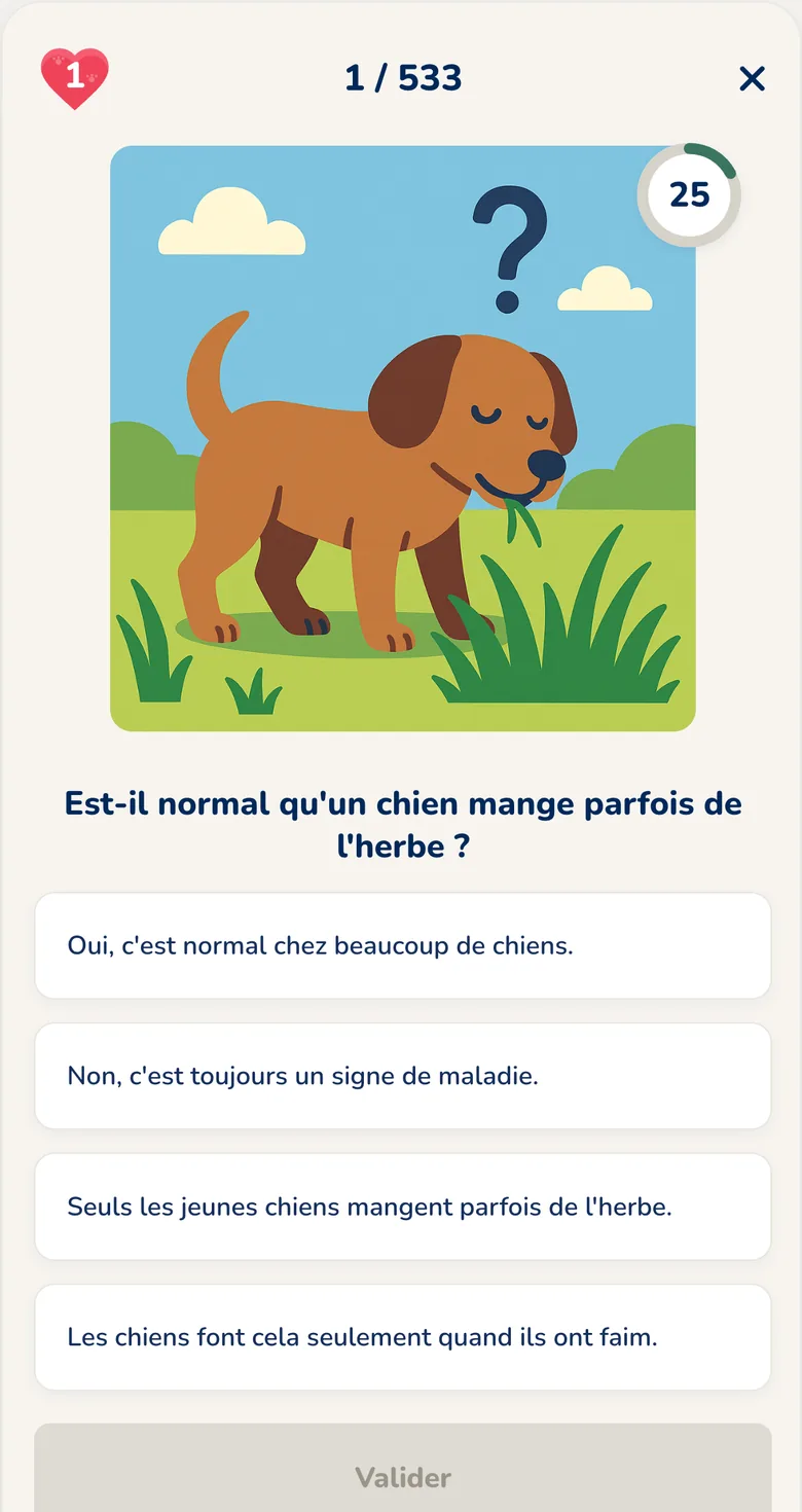 Application Hundeo : quiz interactif avec réponses