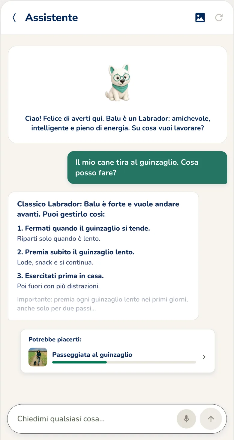 App Hundeo: chat con l'addestratore cinofilo con risposte immediate