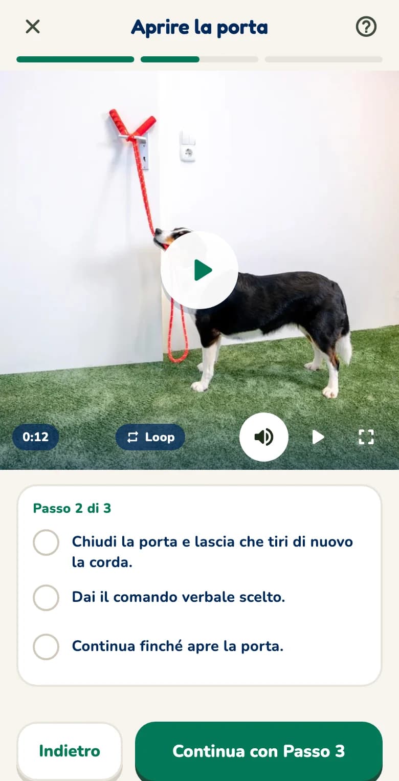Lezione nell'app Hundeo: inizia con il video, sotto i passi da spuntare