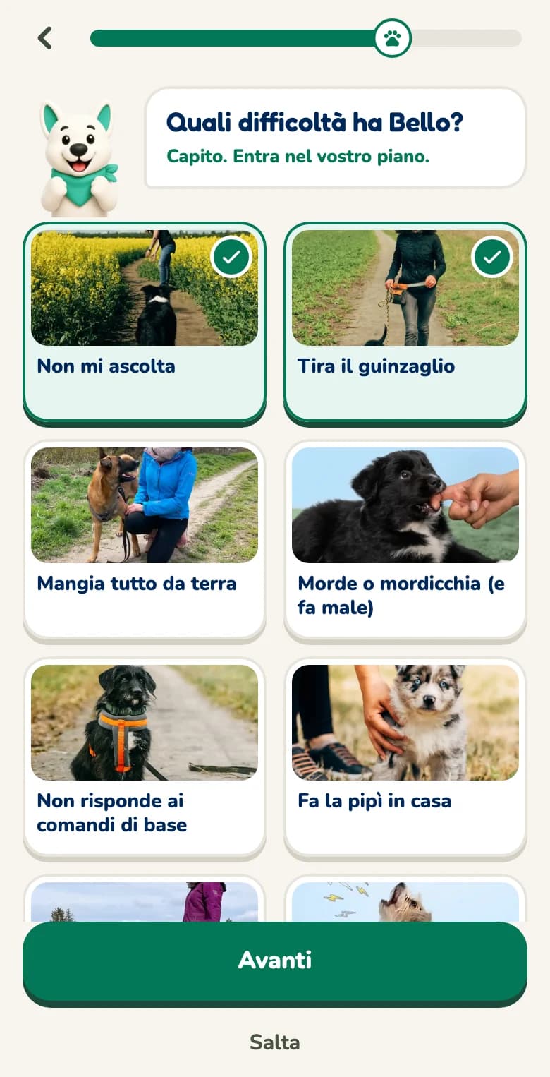 Domanda nell'app Hundeo con risposte da toccare