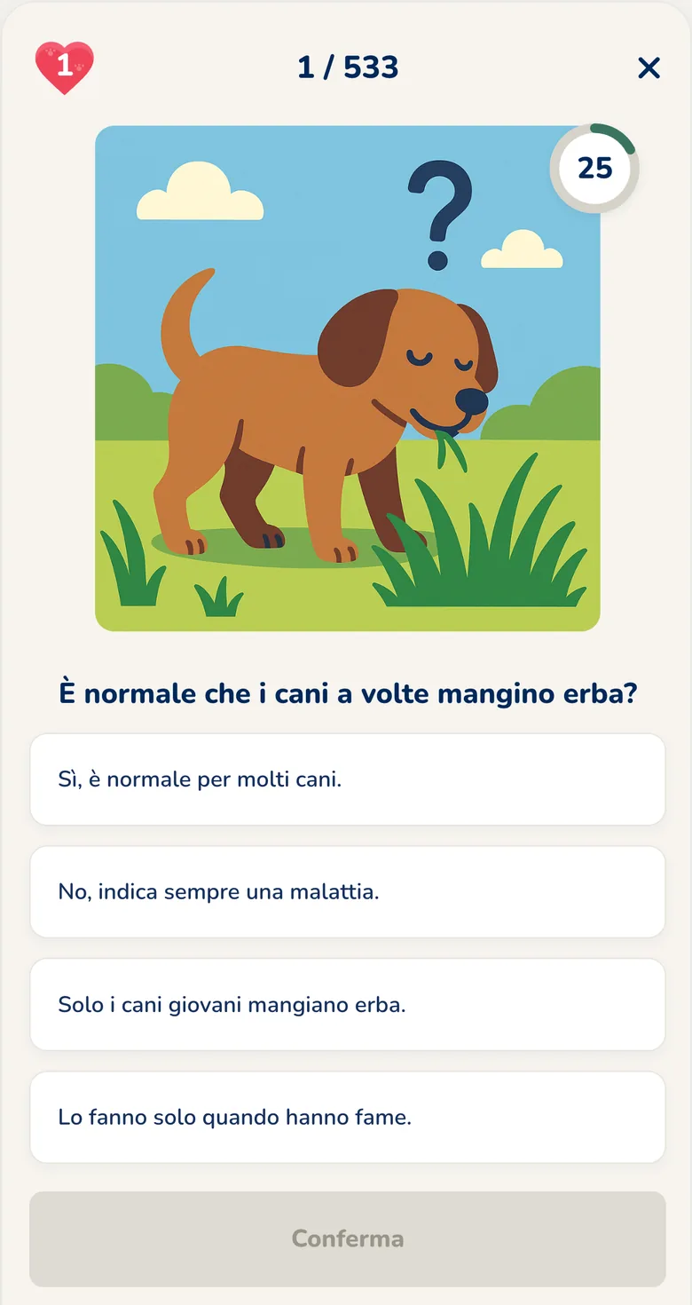App Hundeo: quiz interattivo con risposte