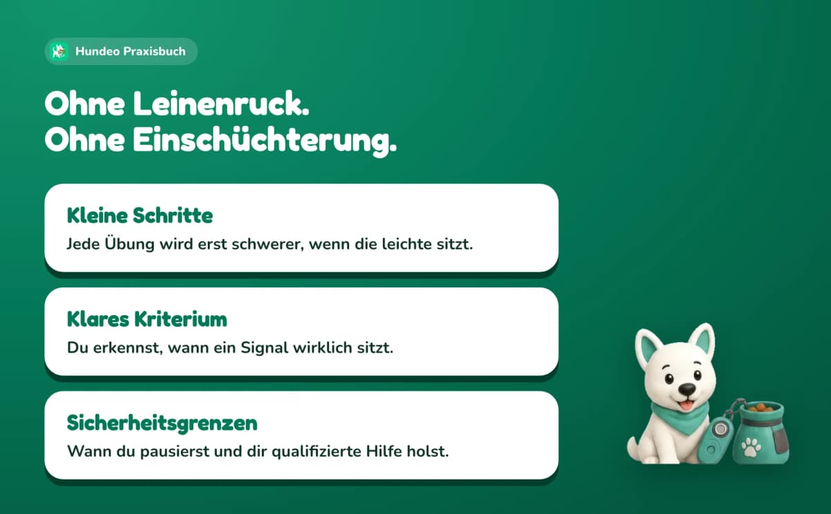 Ohne Leinenruck. Ohne Einschüchterung. Kleine Schritte: Jede Übung wird erst schwerer, wenn die leichte sitzt. Klares Kriterium: Du erkennst, wann ein Signal wirklich sitzt. Sicherheitsgrenzen: wann du pausierst und dir qualifizierte Hilfe holst.