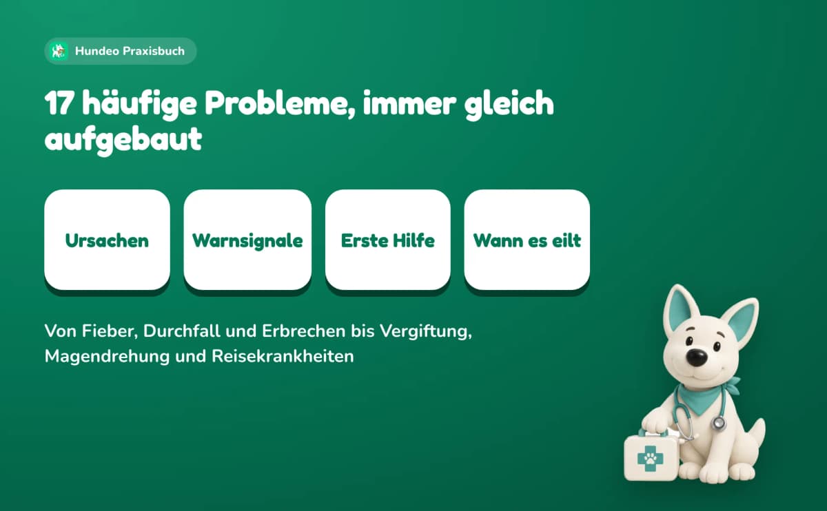 17 häufige Probleme, immer gleich aufgebaut: Ursachen, Warnsignale, Erste Hilfe und wann es eilt. Von Fieber, Durchfall und Erbrechen bis Vergiftung, Magendrehung und Reisekrankheiten.