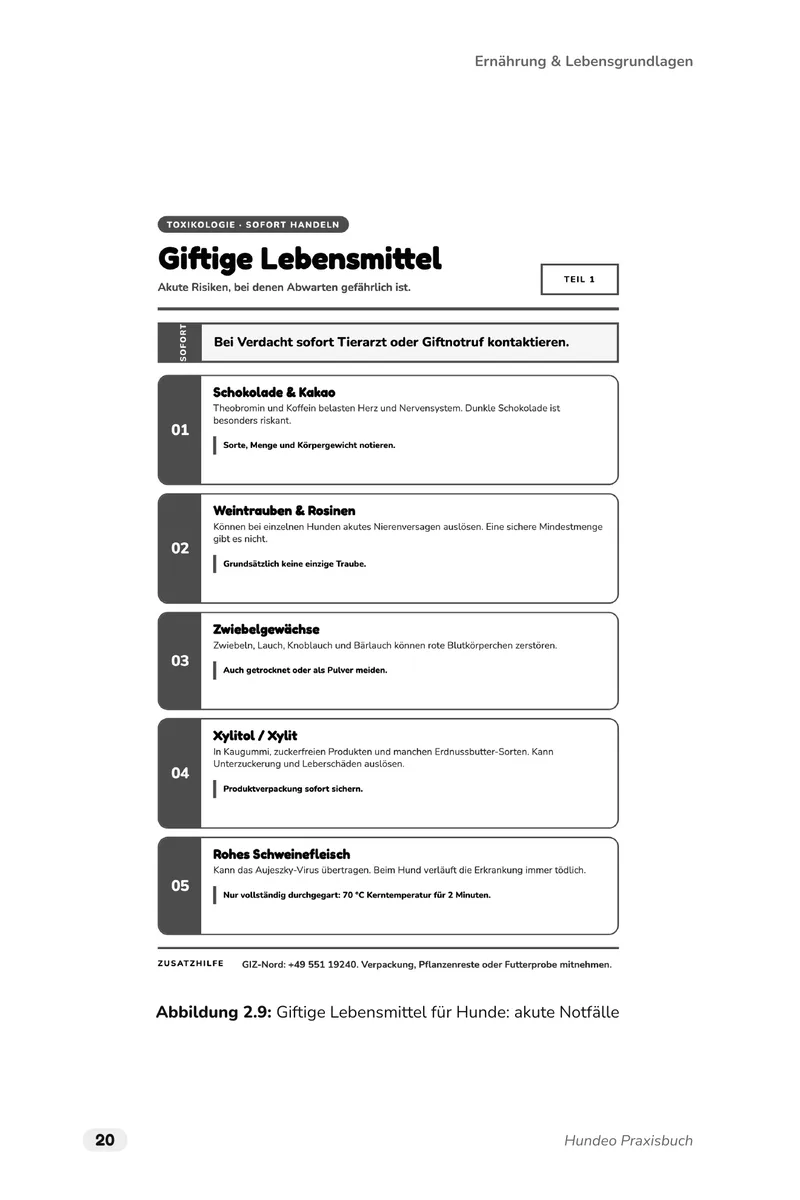 Buchseite 20: Infografik zu giftigen Lebensmitteln für Hunde, von Schokolade und Weintrauben über Zwiebeln und Xylit bis zu rohem Schweinefleisch.