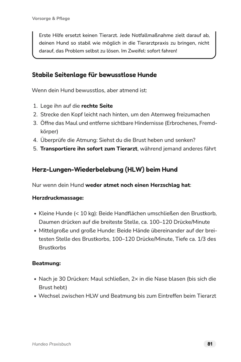 Buchseite 81: Stabile Seitenlage für bewusstlose Hunde und Herz-Lungen-Wiederbelebung Schritt für Schritt, mit Herzdruckmassage und Beatmung.