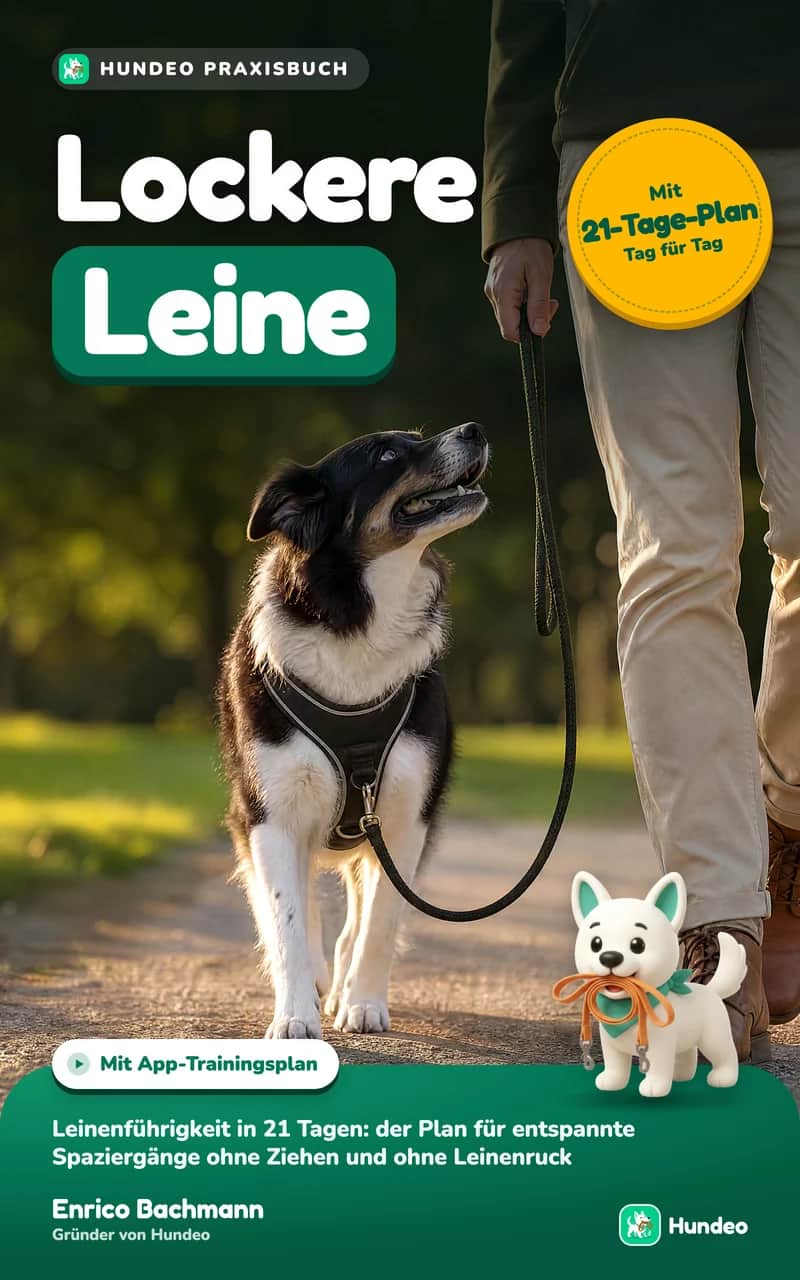 Loose Leash