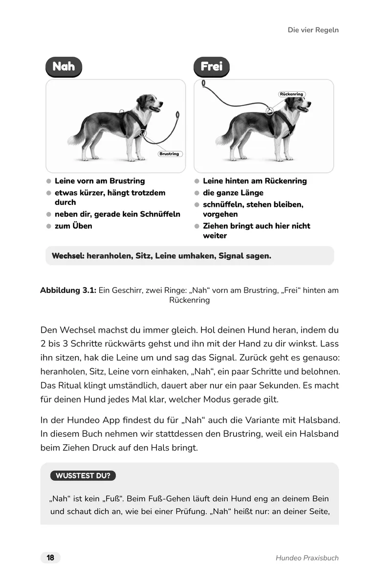 Buchseite 18: Zeichnung der 2 Modi, „Nah“ mit der Leine vorn am Brustring zum Üben und „Frei“ hinten am Rückenring zum Schnüffeln, und wie du zwischen beiden wechselst.
