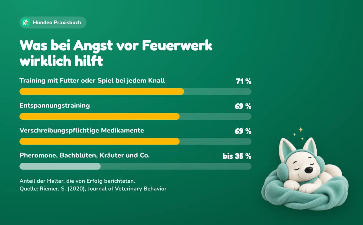 Was bei Angst vor Feuerwerk wirklich hilft, Anteil der Halter, die von Erfolg berichteten: Training mit Futter oder Spiel bei jedem Knall 71 %, Entspannungstraining 69 %, verschreibungspflichtige Medikamente 69 %, Pheromone, Bachblüten, Kräuter und Co. bis 35 %. Quelle: Riemer, S. (2020), Journal of Veterinary Behavior.