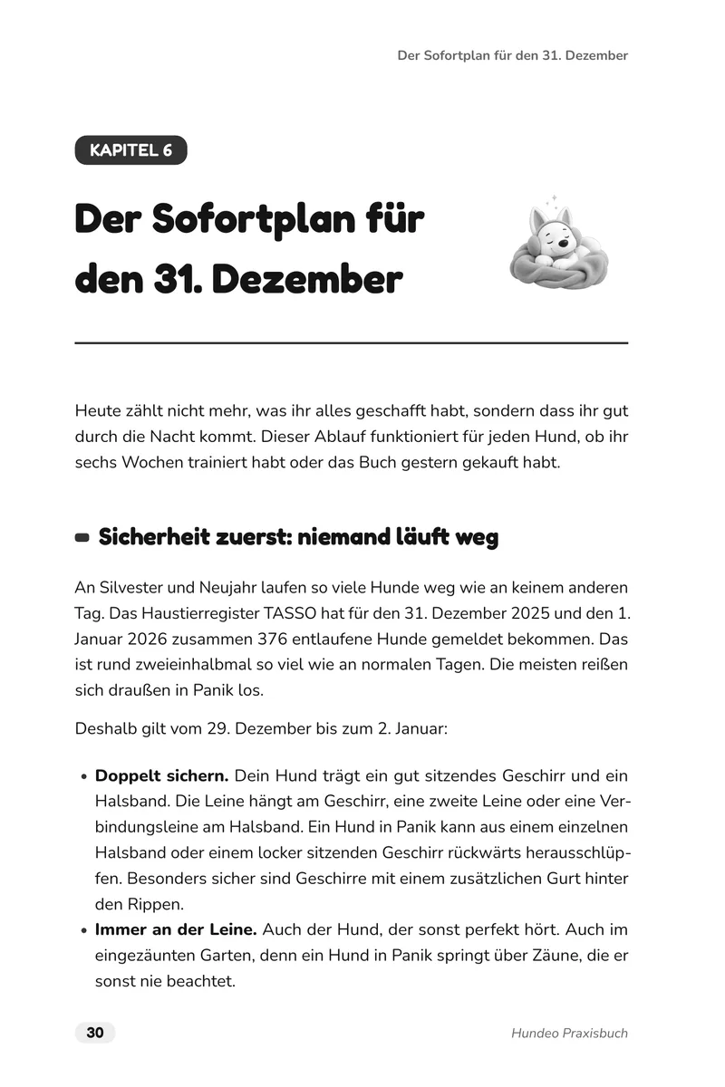 Buchseite 30: Auftakt von Kapitel 6, Der Sofortplan für den 31. Dezember, beginnend mit der doppelten Sicherung, damit an Silvester kein Hund wegläuft.