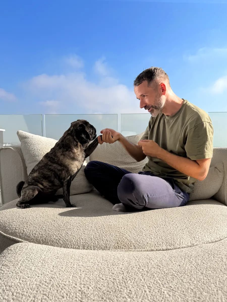 Enrico Bachmann, founder of Hundeo, gives his pug a paw shake on a sofa on the terrace