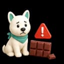 Calculateur de toxicité du chocolat