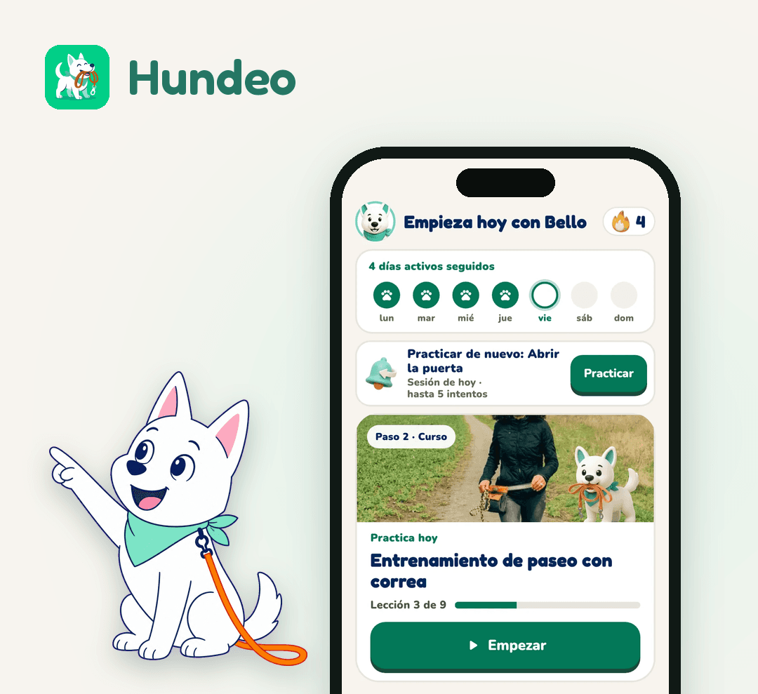 App Hundeo con la vista Hoy: racha semanal y la lección de hoy