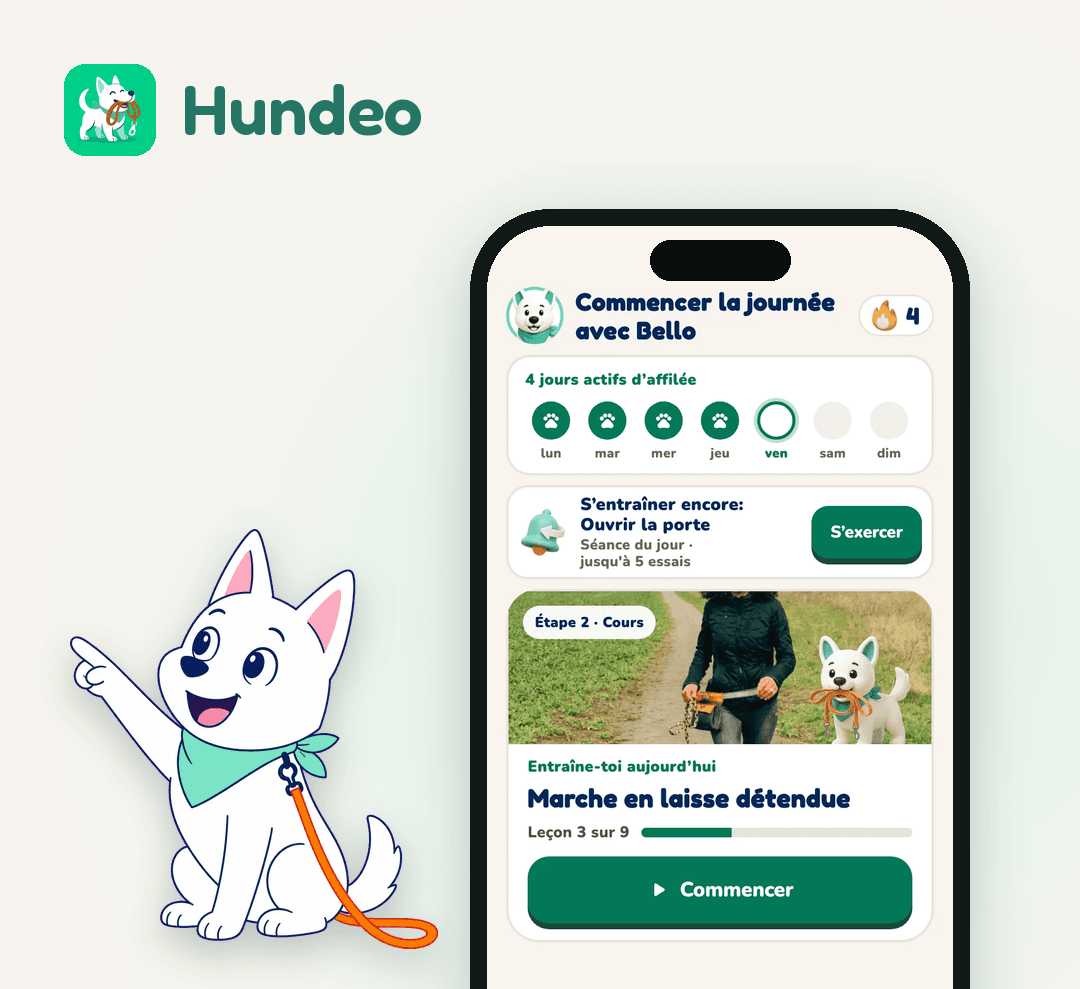 Application Hundeo avec la vue Aujourd'hui : série de la semaine et leçon du jour