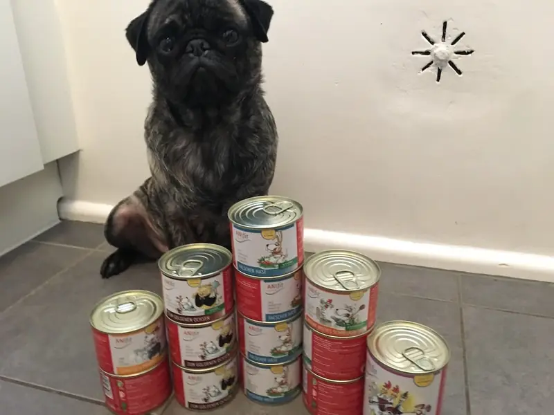 Nacho sitzt hinter einem Stapel Anifit-Dosen