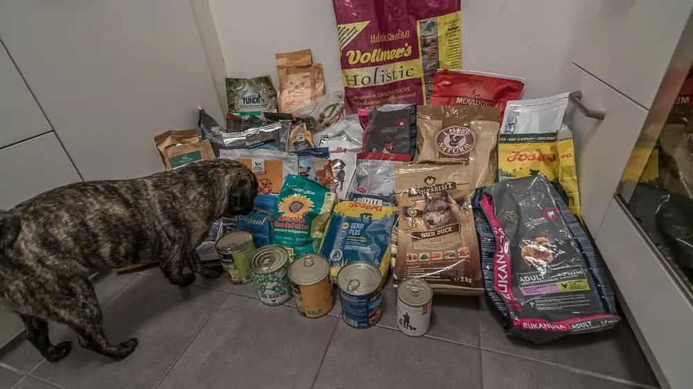 Viele Futtersäcke und Dosen aus Enricos Tests, Nacho schnüffelt daran