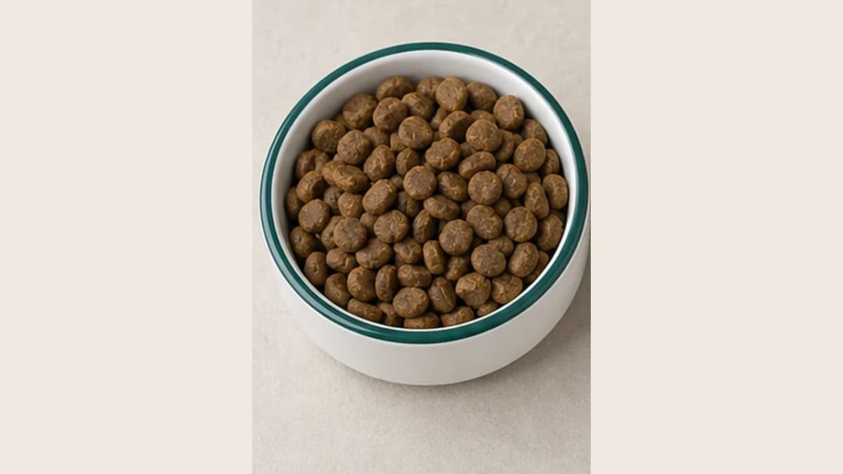 base care Trockenfutter im Hundeo-Napf
