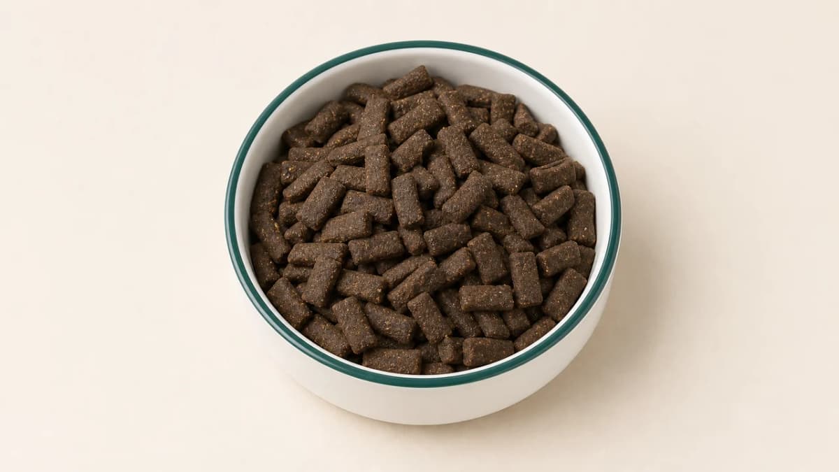 InsectDog Hypoallergen im Hundeo-Napf