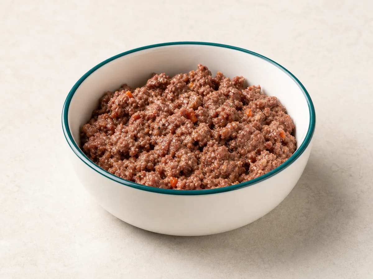 Bio Rind Adult im Hundeo-Napf