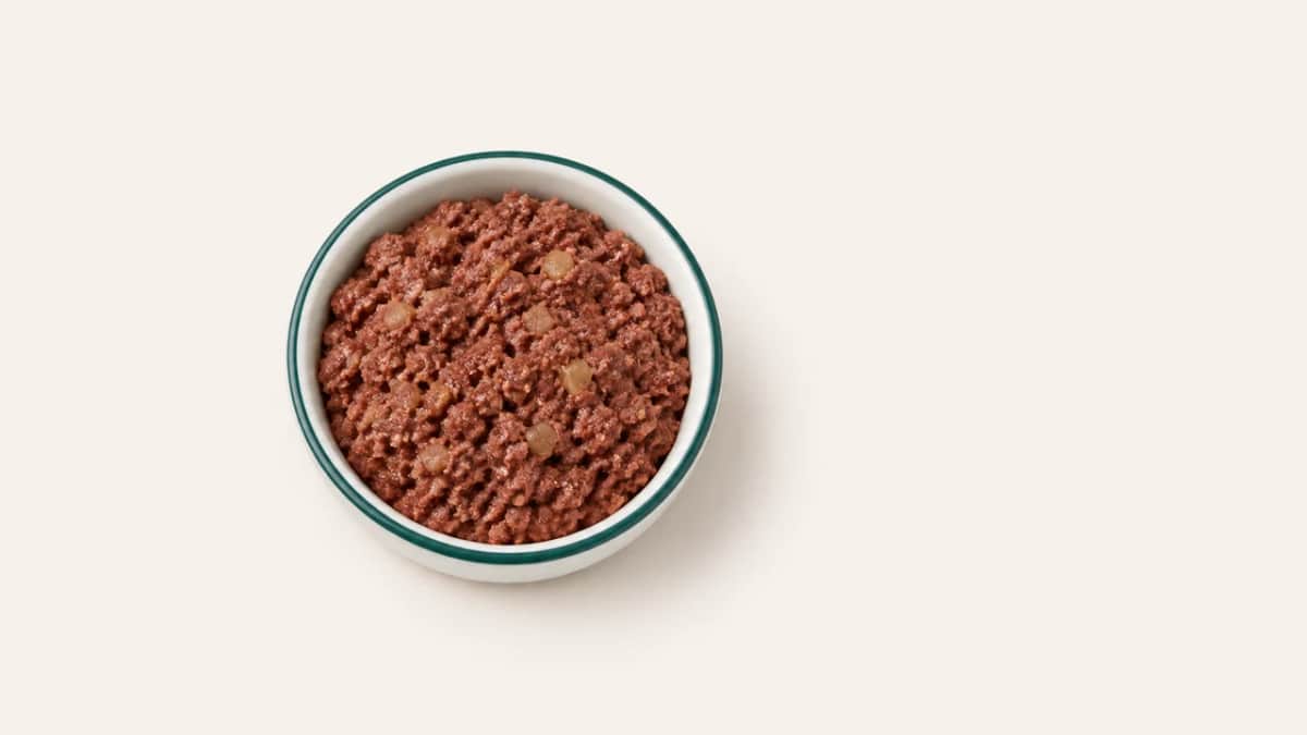 MjAMjAM Leckeres Rind an gekochten Kartoffeln im Hundeo-Napf