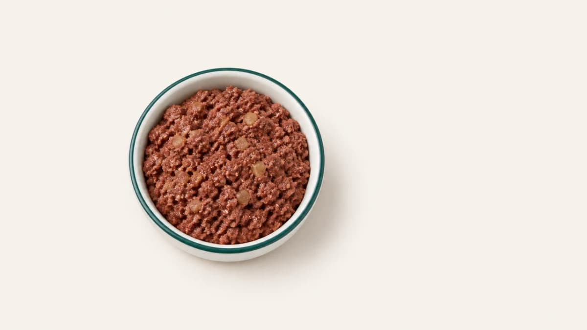 MjAMjAM Leckeres Rind an gekochten Kartoffeln im Futter für kleine Hunde Test