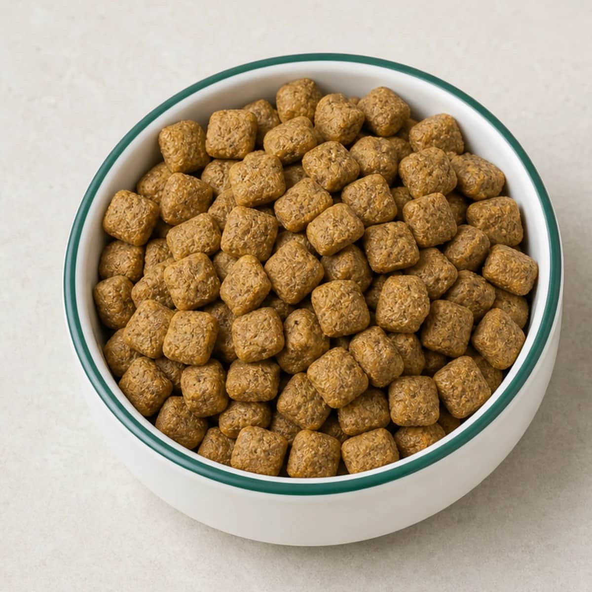 MyPetClub Insekten