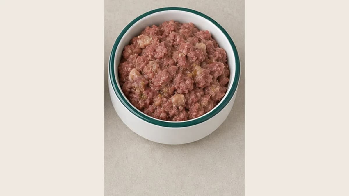 Best Meat Adult Rind im Hundeo-Napf