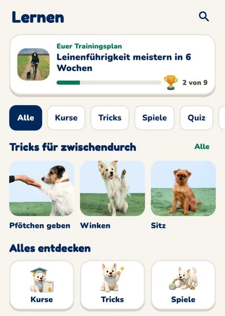 Lernen-Bereich der Hundeo App mit Trainingsplan, Tricks und Kursen