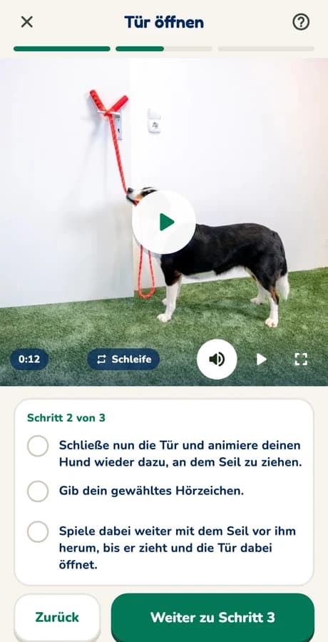 Lektion in der Hundeo App: startet mit dem Video, darunter die Schritte zum Abhaken