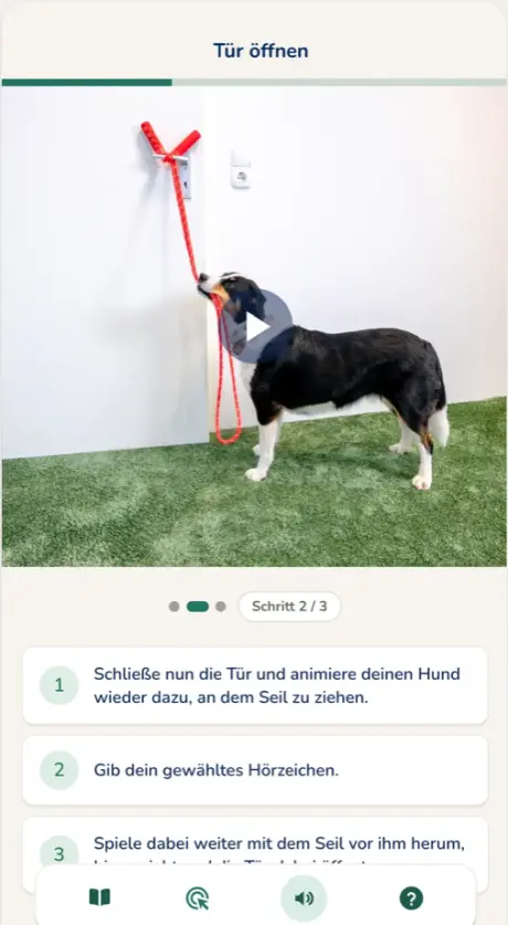 Trainingsvideo in der Hundeo App