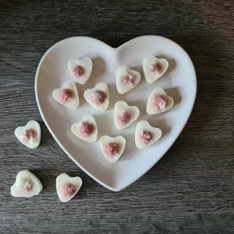 Beef & Quark Ice Bites