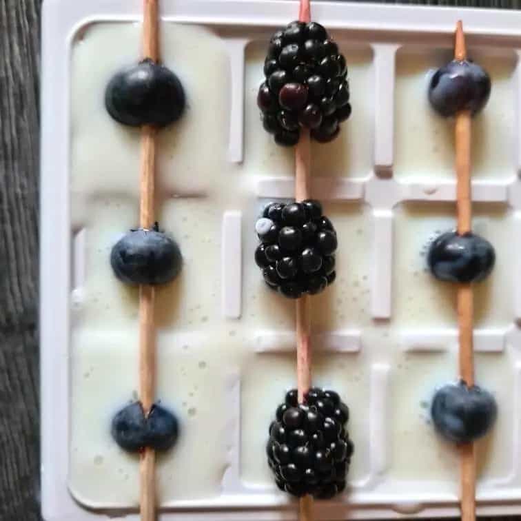 Blueberry Lick Mat