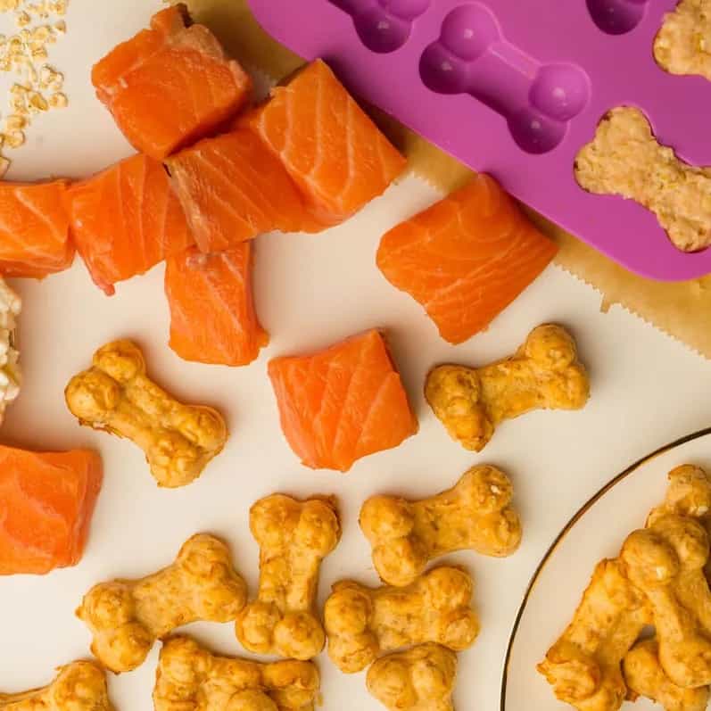 Salmon Biscuits