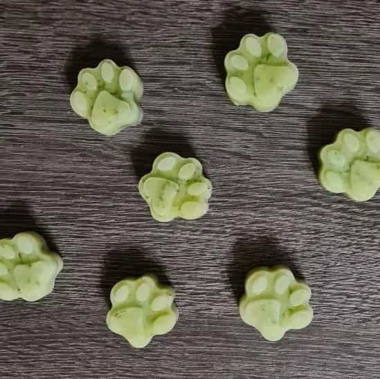 Cucumber Ice Bites
