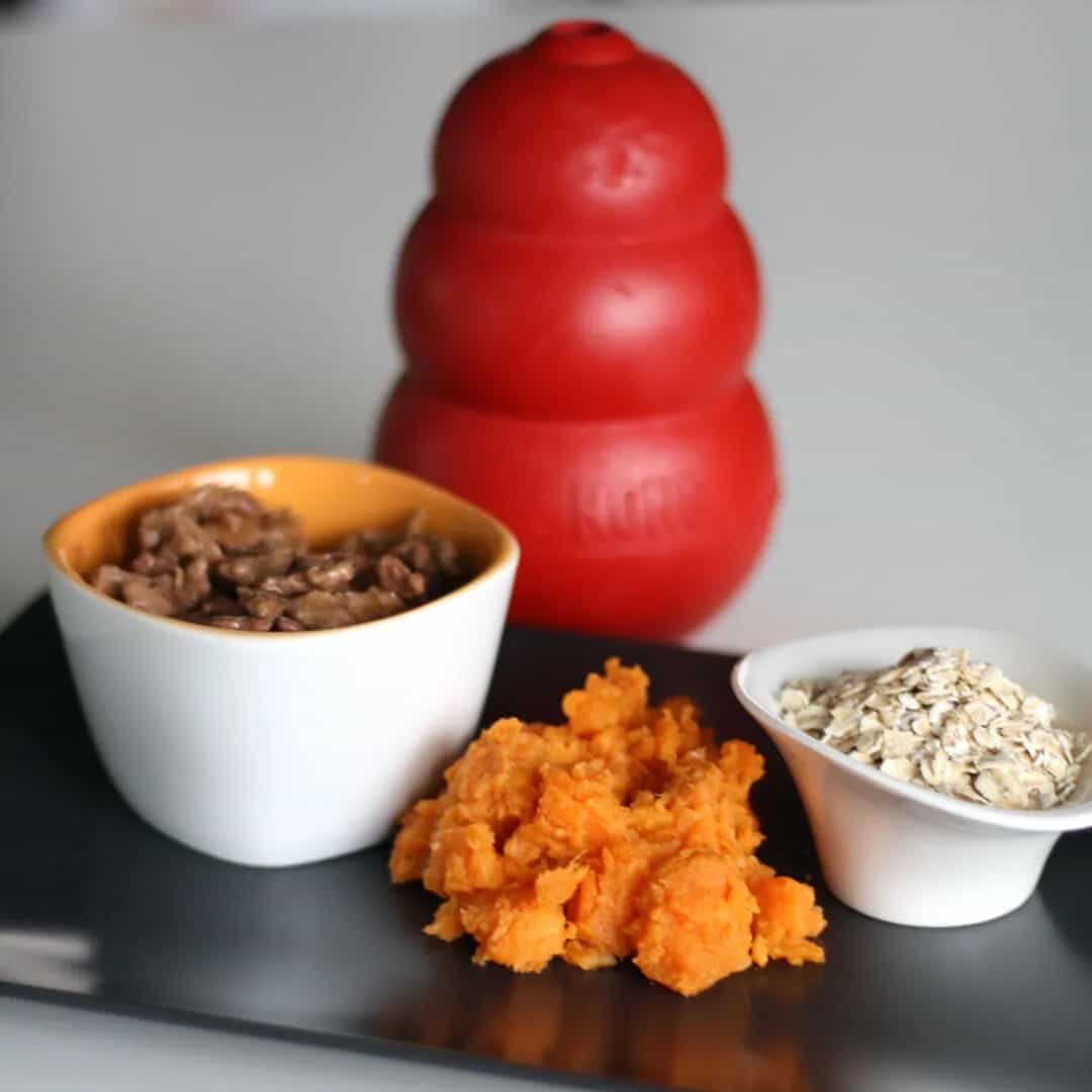 Savoury Kong Filler