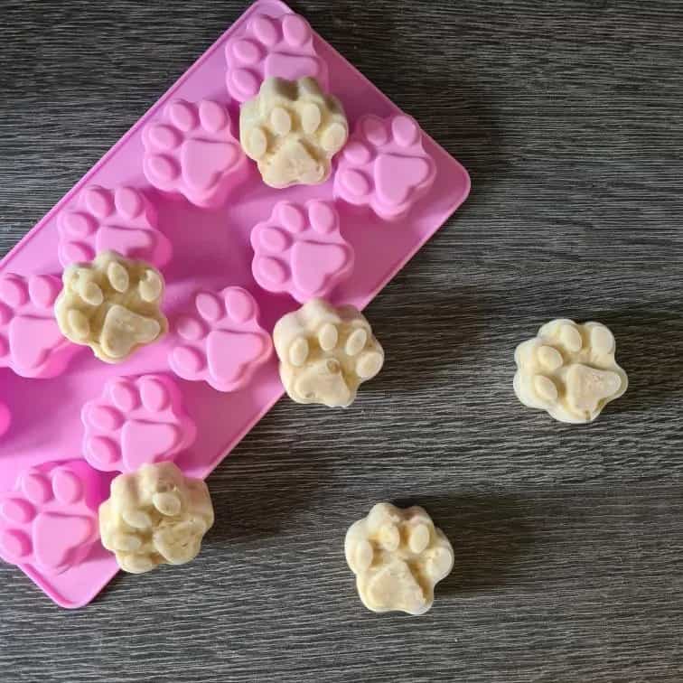 Oat Ice Bites