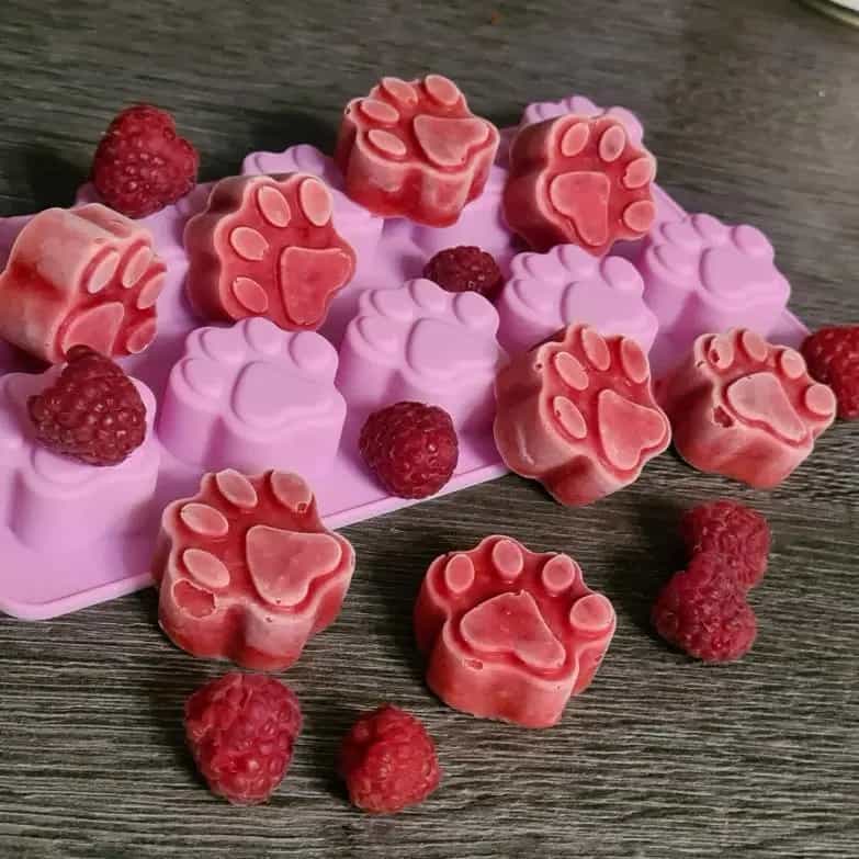 Raspberry Ice Bites