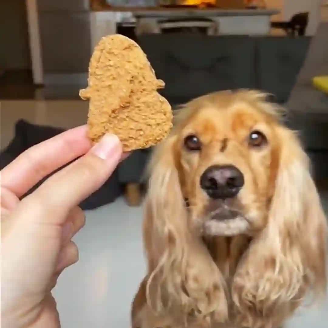 Ghost Pumpkin Biscuits