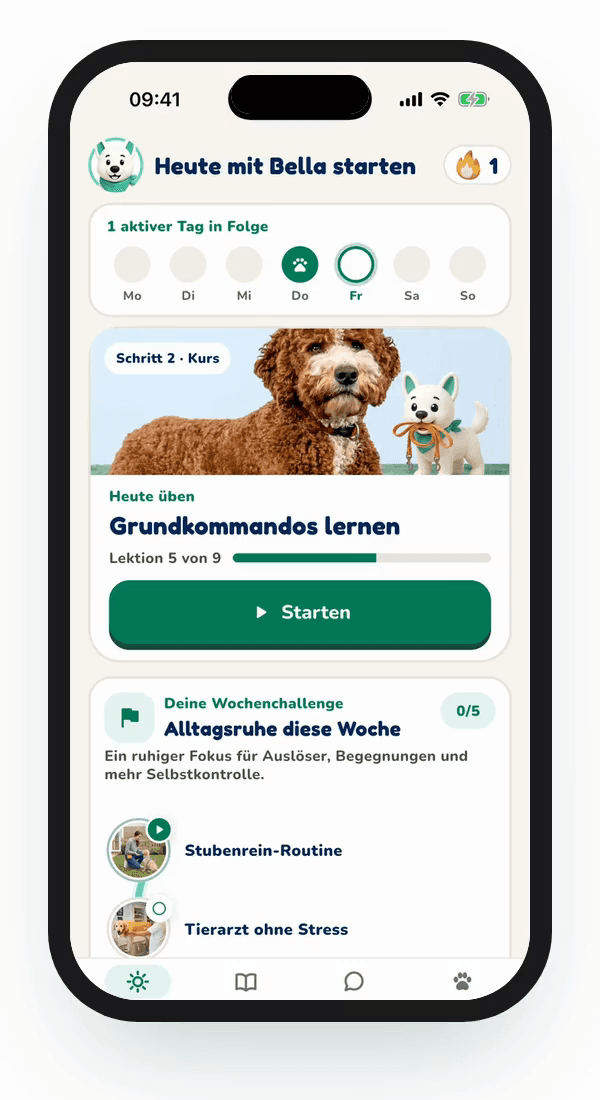 Vorschau aus der Hundeo App: Trainingsplan, Ohne Text