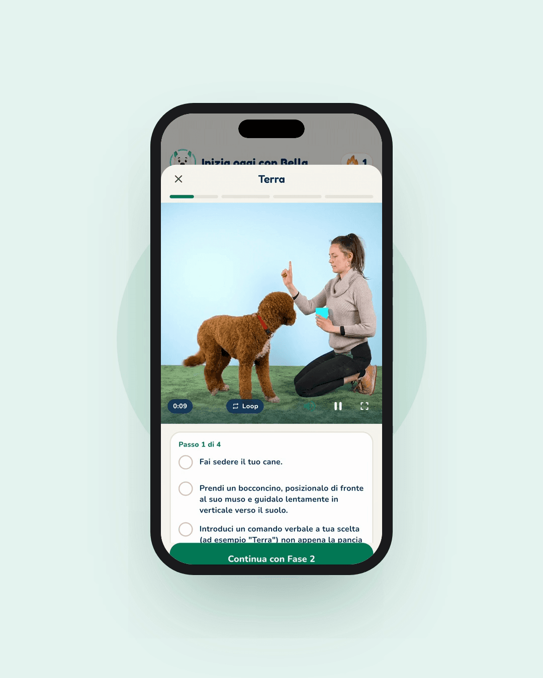 Anteprima dall'app Hundeo: Lezione video, Senza testo