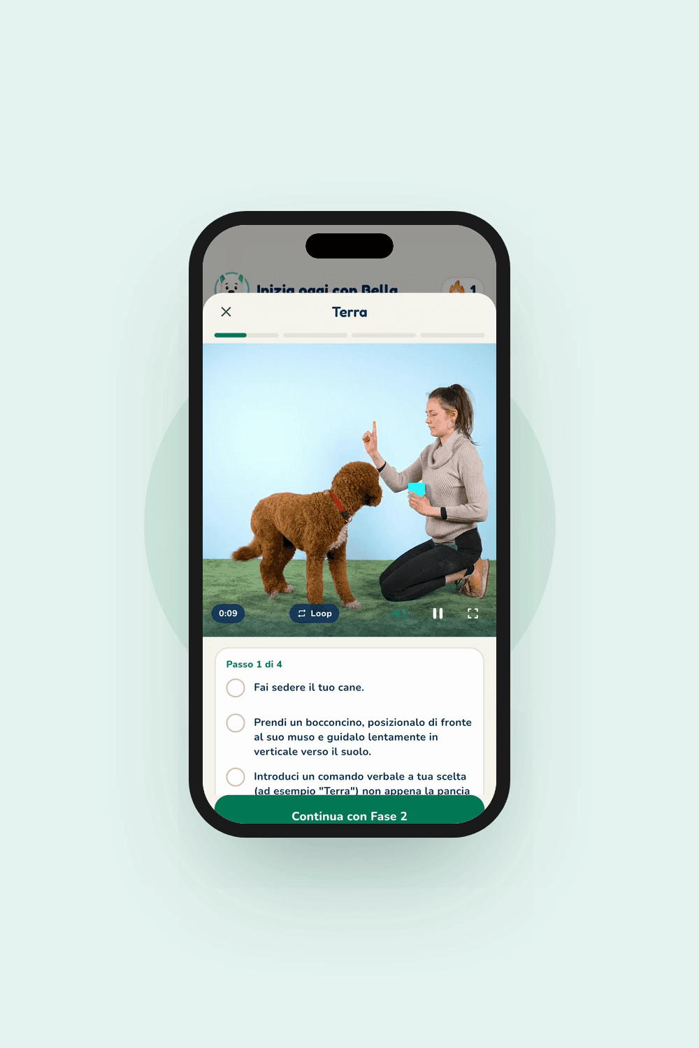 Anteprima dall'app Hundeo: Lezione video, Senza testo
