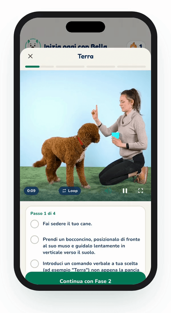 Anteprima dall'app Hundeo: Lezione video, Senza testo